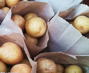 Potatis PS