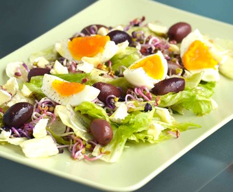 Snygg, matig sallad Servera ägg PS