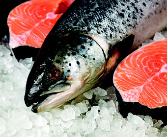 Fisk på is, förvara fisk