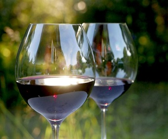 Gott vilt förtjänar gott vin Vin till vilt PS