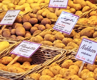 Det finns över 1000 potatissorter...... Välja potatis PS