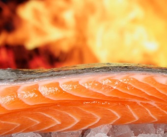 Krångla inte till det när du grillar lax grilla lax
