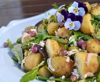 picklade gräslöksknoppar och gräslöksblommor PS